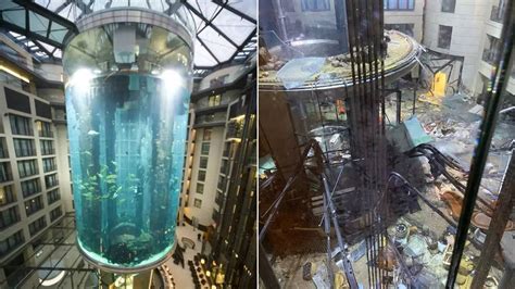 Giant Aquarium Bursts Inside Berlin Hotel Floods Streets With Million