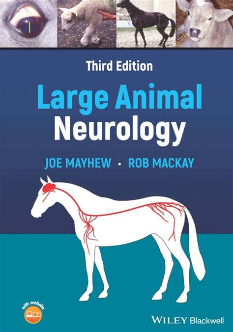 Handbook of Veterinary Neurology 5th Edition (PDF)