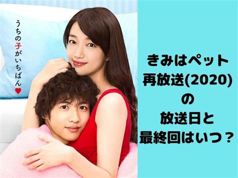 きみはペット再放送2020の放送日と最終回はいつ？｜trelabo｜ドラマ映画の再放送やdvdレンタル･無料動画情報サイト