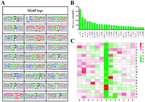 Analysis of phosphorylation sites. (A) Sequence motif analysis of ...