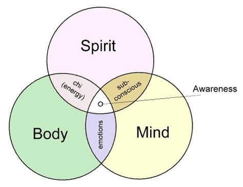 How Are We United Mind Body Soul Connection Mind Body Body Mind Spirit