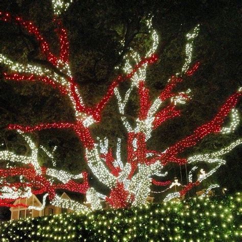 River Oaks Christmas Lights | Holiday Light Display