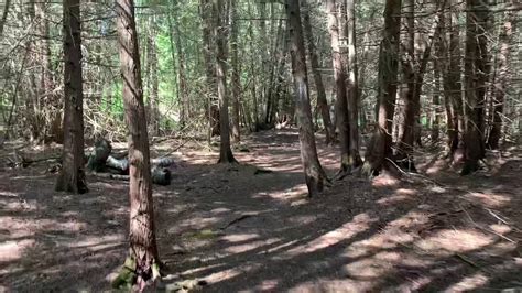 Lookout Trail Balsam Lake Provincial Park Youtube