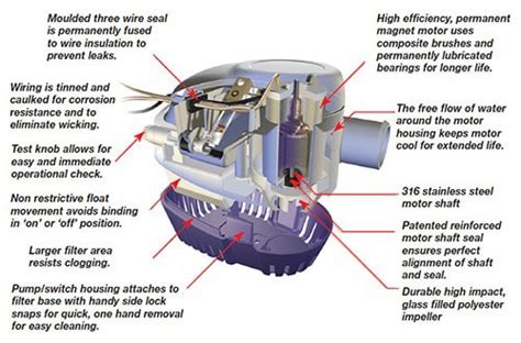 Wire Bilge Pump Wiring Diagram Bilge Auto Man Rocker Switch