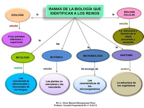 En qué partes se divide la biología Brainly lat