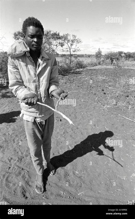 Water Dowsing Divining Hi Res Stock Photography And Images Alamy