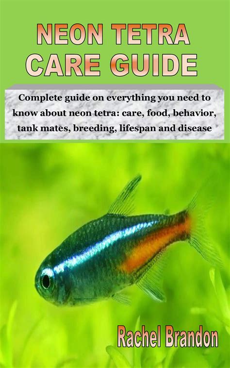 Buy Neon Tetra Care Guide Complete Guide On Everything You Need To Know About Neon Tetra Care