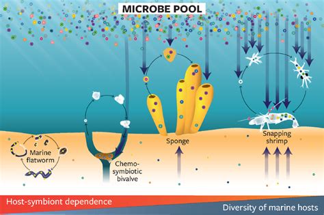 More Research Needed Into Microbes That Live Eurekalert