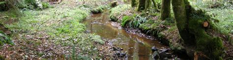 Gestion des milieux aquatiques Vivre en Haute Corrèze