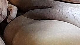 Naughty In Law Pt Home Visit Doc Rough Anal Sex Patient XNXX