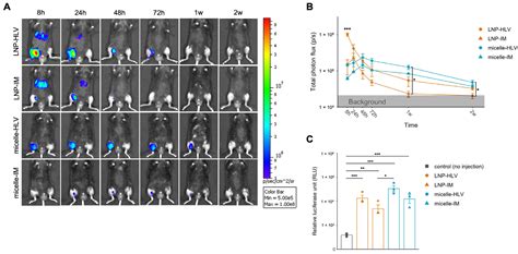 Comprehensive Evaluation of Lipid Nanoparticles and Polyplex