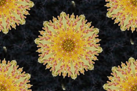 Yellow Kaleidoscope Photograph By Joyce Baldassarre Fine Art America