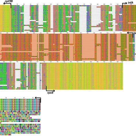 Comparison Of The Rps Rpl Region Sequences Between Elaeagnaceae