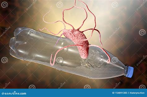 Plastik Entw Rdigendes Bakterien Ideonella Sakaiensis Stock Abbildung