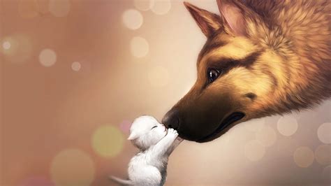 Cute Cartoon Animal Wallpapers on WallpaperDog