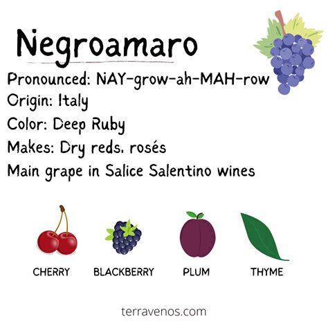 Negroamaro A Comprehensive Guide