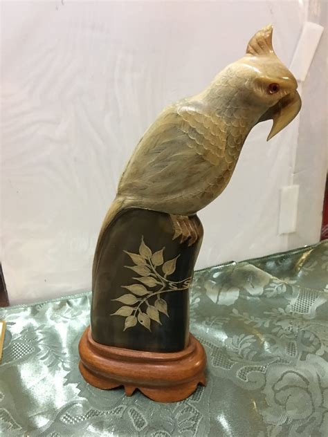 Hand Carved Buffalo Horn Parrot Etsy