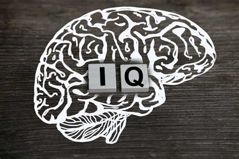 What Is The Highest Iq Ever Recorded Explained