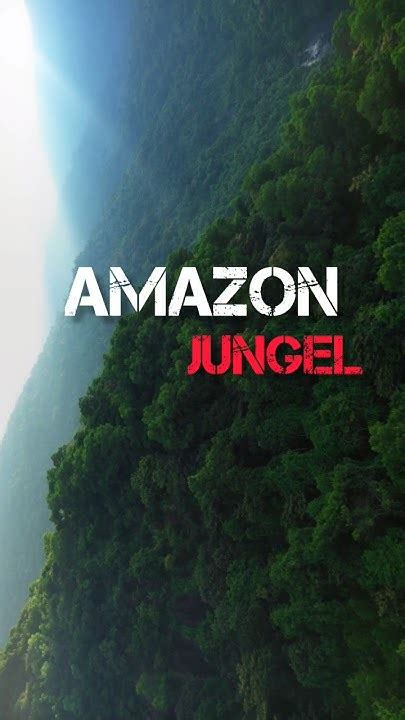 Fact Amazon Jungle 😱 Facts Science Shorts Youtube