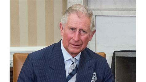 Prince Charles Celebrates Birthday Privately 8days