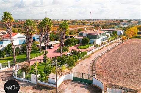 Finca En Palmela Set Bal Bodegas Y Vi Edos En Venta