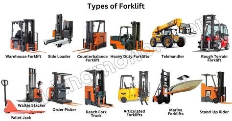 Complete Guide on Different Types of Forklifts: Names & Pictures