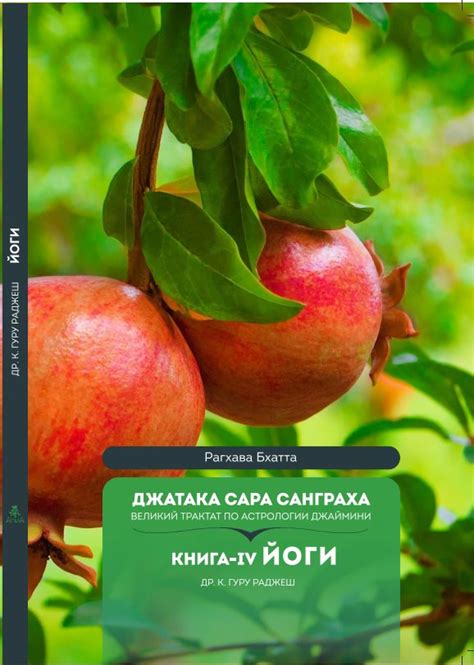 Джатака Сара Санграха. Книга 4 - Йоги