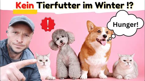 Wird das Tierfutter knapp Mit Checkliste für Alternativfutter