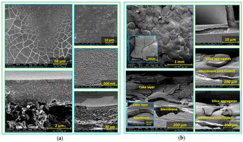 Membranes Free Full Text Influence Of Surface Micro Patterning And Hydrogel Coating On