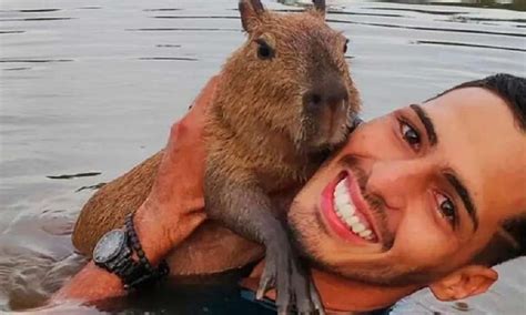 Influenciador Do Am Multado Pelo Ibama E Deve Entregar Capivara Fil