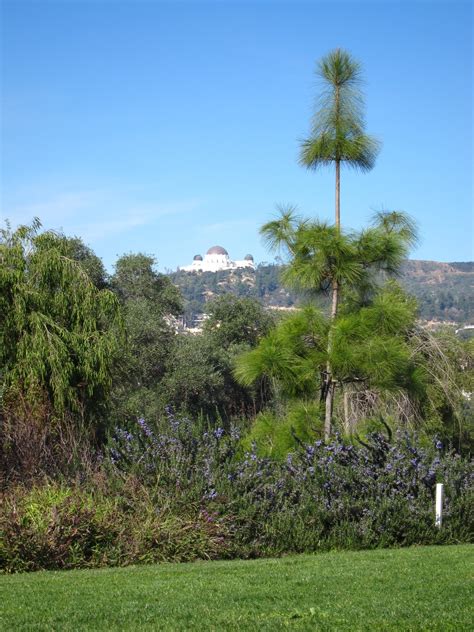 barnsdall-art-park