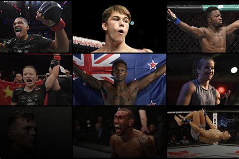 The Top 10 Newcomers of 2018 | UFC