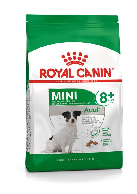 Royal Canin Mini Adulto 8 Ração Para Cão Petoutlet