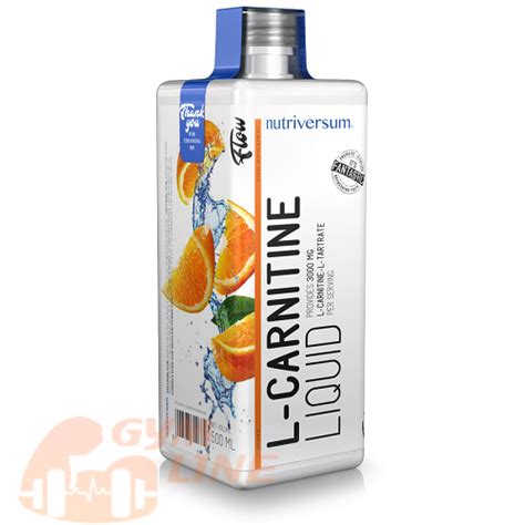 خرید ال کارنیتین مایع نوتریورسام قیمت Nutriversum L Carnitine Liquid