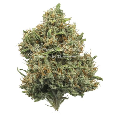 Cough OG Gold Trimmed 3 5g Grow West Cannabis Company