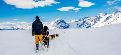 Alaska Dog Sled Tours | AlaskaTravel.com