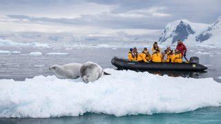 Iles Orcades Du Sud Terra Antarctica Sp Cialiste Croisi Res En