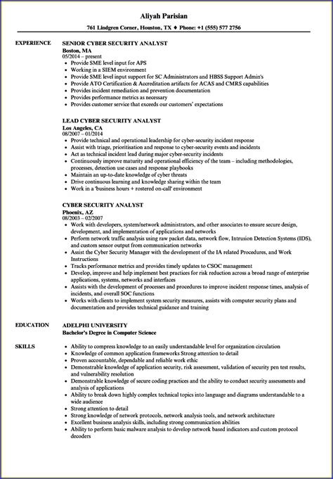 Cyber Security Strategy Template Doc Templates-2 : Resume Examples