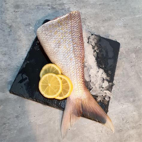 Wild Goldband Snapper Fillet Vitaminseafood