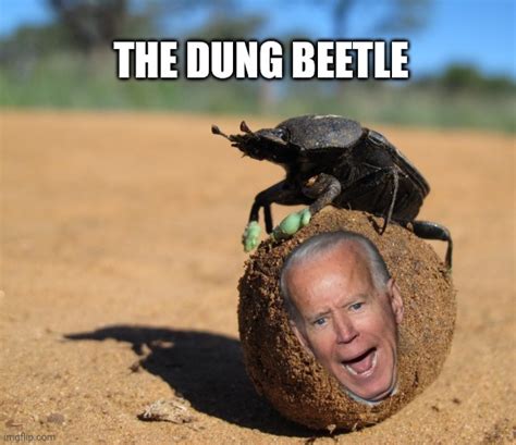 Joe Biden Imgflip