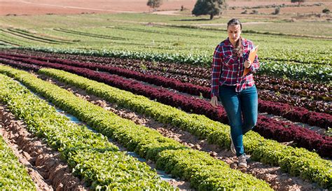 harvest-woman-farmer-crops-1070187692 - Hobby Farms