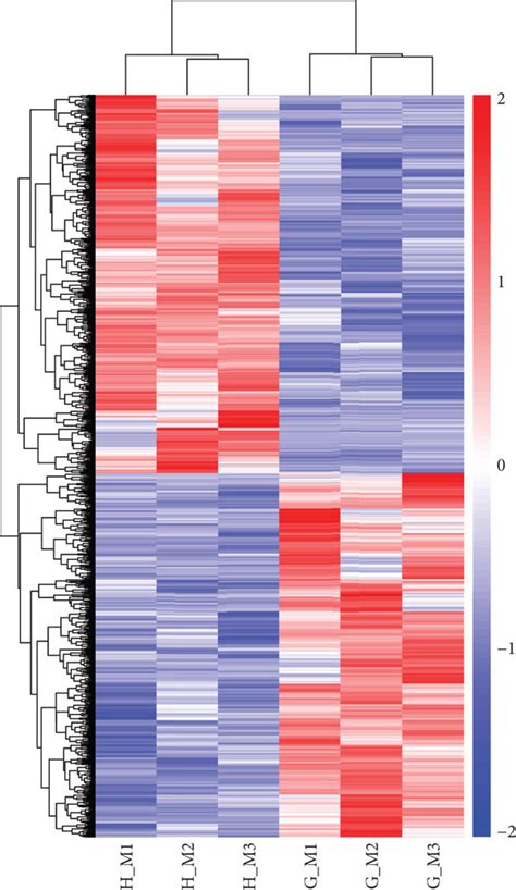 Heat Map Of Differentially Expressed Genes Download Scientific Diagram