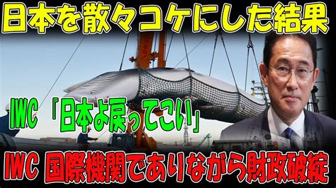 【財政破綻】日本が脱退したiwc国際捕鯨委員会、国際機関なのに財政破綻 資金拠出関連の新情報で日本にsos 【日本からの嬉しいニュース】 Youtube