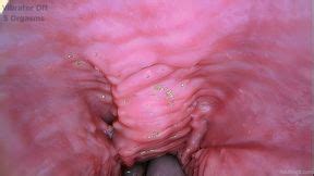 Gspot Porn Videos Free Sex Movies On Got Porn