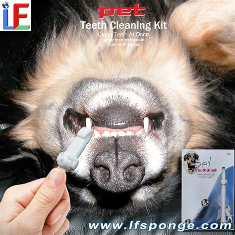 Dog Teeth Cleaning Kit wholesale magic dog toothbrush, dog teeth cleaning, High-quality magic ...