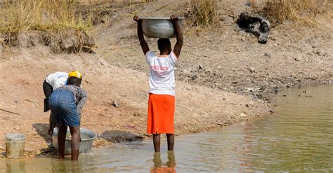 CONGO BASIN: Climate change threatens biodiversity | Afrik 21