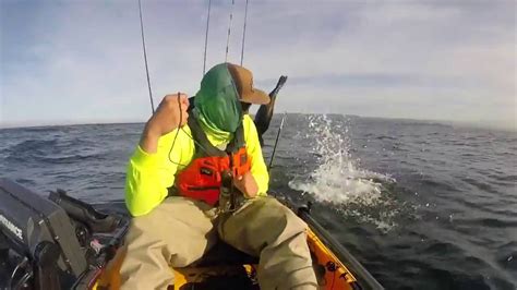 Playful Seal Surprises Fisherman Youtube