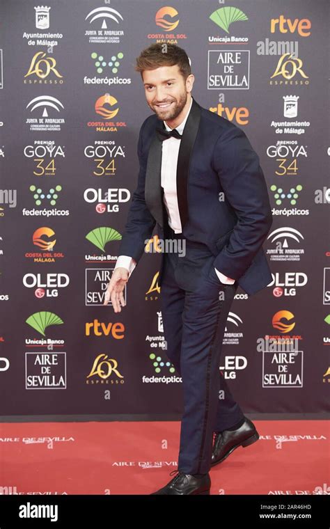 January 25 2020 Malaga Andalucia Spain Pablo Alboran Attends 34th