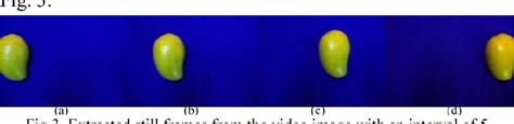 Figure From An Automated Machine Vision Based System For Fruit