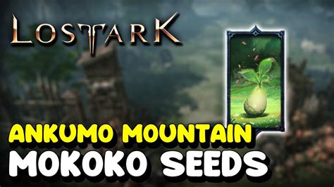 Lost Ark ALL MOKOKO SEED LOCATIONS In ANKUMO MOUNTAIN YouTube